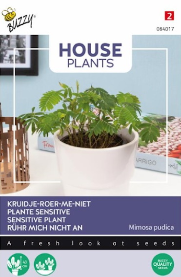 Kruidje-roer-mij-niet (Mimosa pudica) 45 zaden BU